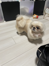 Club Queen - レオナの女の子ブログ画像