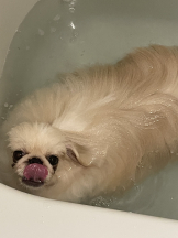 Club Queen - レオナの女の子ブログ画像