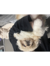 Club Queen - レオナの女の子ブログ画像