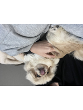 Club Queen - レオナの女の子ブログ画像