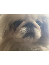 Club Queen - レオナの女の子ブログ画像