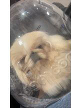 Club Queen - レオナの女の子ブログ画像