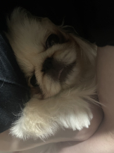 Club Queen - レオナの女の子ブログ画像