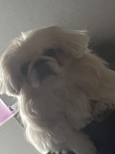 Club Queen - レオナの女の子ブログ画像