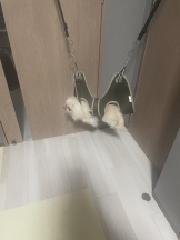 Club Queen - レオナの女の子ブログ画像