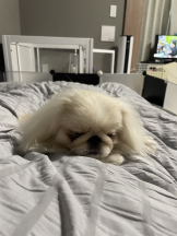 Club Queen - レオナの女の子ブログ画像