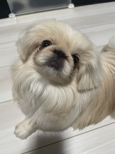 Club Queen - レオナの女の子ブログ画像