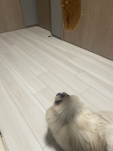 Club Queen - レオナの女の子ブログ画像