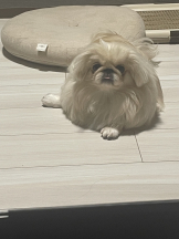 Club Queen - レオナの女の子ブログ画像