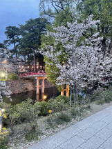 Club Queen - レオナの女の子ブログ画像