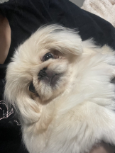 Club Queen - レオナの女の子ブログ画像