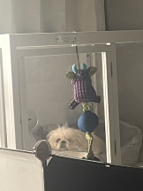 Club Queen - レオナの女の子ブログ画像