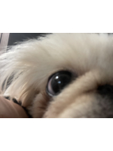 Club Queen - レオナの女の子ブログ画像