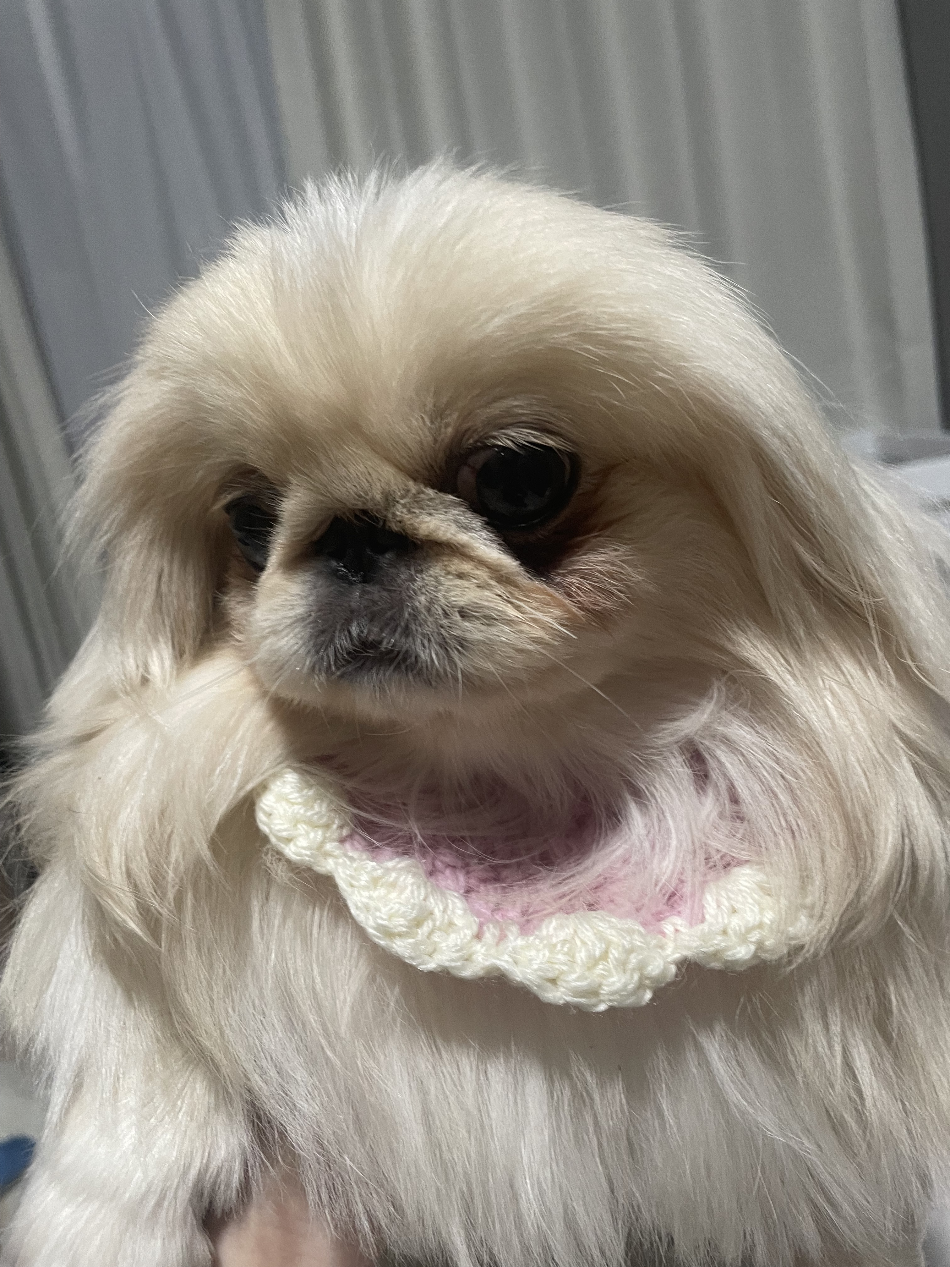 女の子ブログ添付画像1