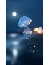 Club Queen - みやびの女の子ブログ画像