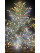 Club La Tour - 藤原 まほ(フジワラ マホ)の女の子ブログ画像