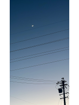 Club La Tour - 藤原 まほ(フジワラ マホ)の女の子ブログ画像