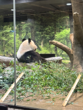 Club La Tour - 桜井 るり(サクライ ルリ)の女の子ブログ画像