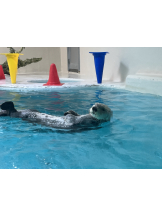 Club La Tour - 桜井 るり(サクライ ルリ)の女の子ブログ画像