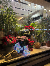 Club La Tour - 椎名 いおり(シイナ イオリ)の女の子ブログ画像