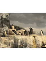 ABBU - えりなの女の子ブログ画像