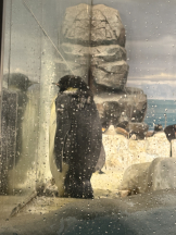 ABBU - えりなの女の子ブログ画像