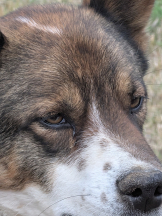 ABBU - りまの女の子ブログ画像