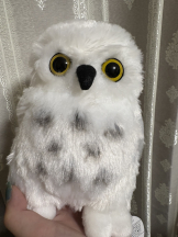 ABBU - かのんの女の子ブログ画像