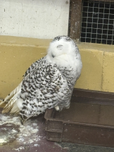 ABBU - かのんの女の子ブログ画像