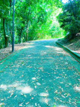 Club GOLD - まなの女の子ブログ画像