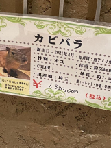 Club GOLD - まなの女の子ブログ画像