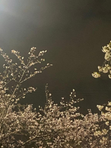 Club GOLD - まなの女の子ブログ画像