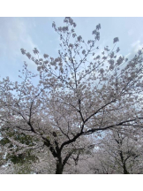 Club GOLD - まなの女の子ブログ画像