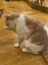 Club GOLD - まなの女の子ブログ画像