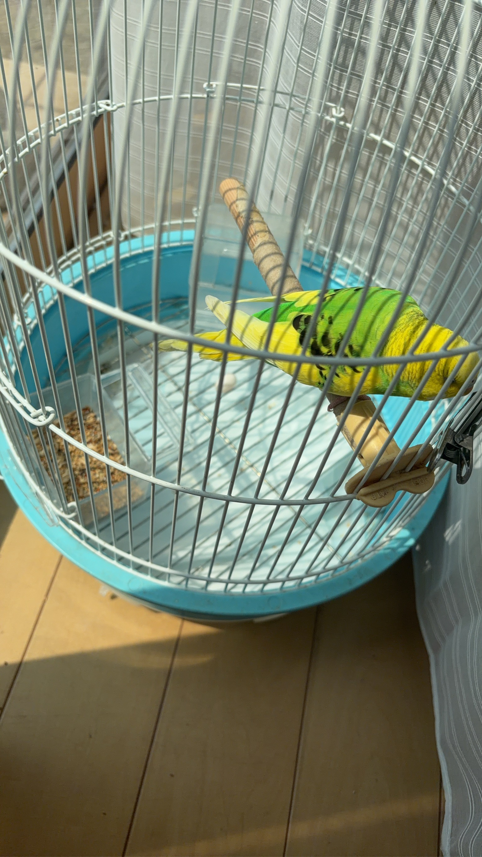 女の子ブログ添付画像1