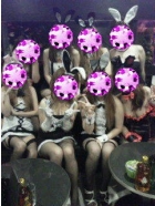 NEWフェイス情報
